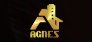 Agnes Construção